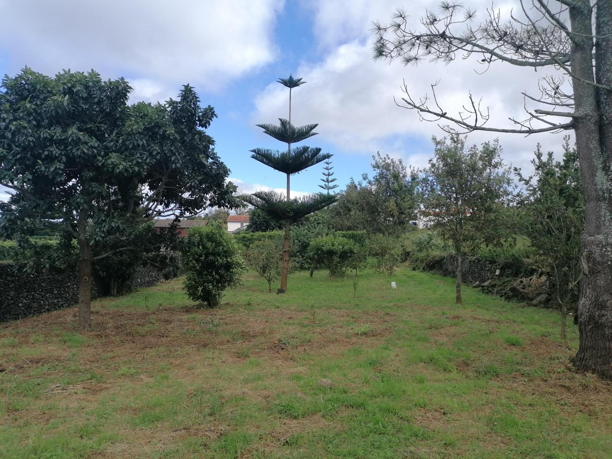 Espaco Roteiro De Mimos São Vicente Ferreira المظهر الخارجي الصورة